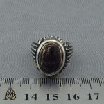 انگشتر حدید با حکاکی ان الحسین مصباح الهدی و سفینه النجاه مردانه - کد 10367 - تصویر 4