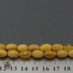 تسبیح-کهربا-اصل-لسهتان (4) تسبیح 33 دانه کهربا بولونی لهستان اصل لوکس - کد 4350 - تصویر 4
