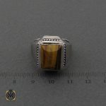 چشم ببر مردانه اصل