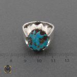 فیروزه نیشابوری اصل