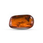 کهربا، یکی از انواع سنگ های قیمتی با قدمت بالا