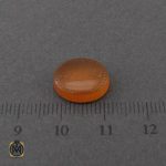 شرف الشمس استاد ضابطی