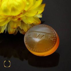 نگین عقیق شرف الشمس استاد ضابطی (4) نگین عقیق شرف الشمس استاد ضابطی