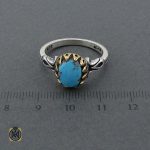 انگشتر فیروزه نیشابوری اصل و مرغوب (1) انگشتر فیروزه نیشابوری اصل و مرغوب