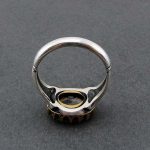 انگشتر نقره با نگین فیروزه اصل و با کیفیت (3) انگشتر نقره با نگین فیروزه اصل و با کیفیت