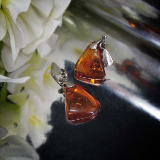Amber Medal (2) مدال کهربا بولونی اصل شفاف (روسی)