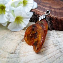 Amber Medal مدال کهربا حشره دار اصل بولونی